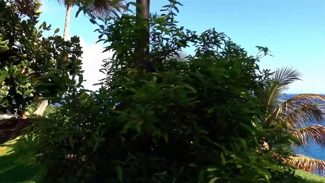 42 день воздержания смотреть онлайн