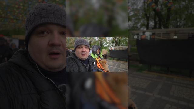 Кто самый богатый человек Калининграда? #недвижимость #калининград #переезд #клд