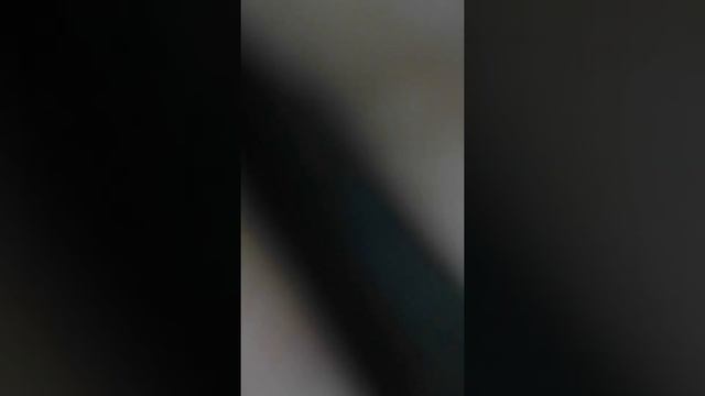 Толстый кот и худая кошка смотреть онлайн