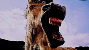 НЕ ПОВЕЗЛО ДИМЕ (перемена перед последним уроком в 11 классе, химия)