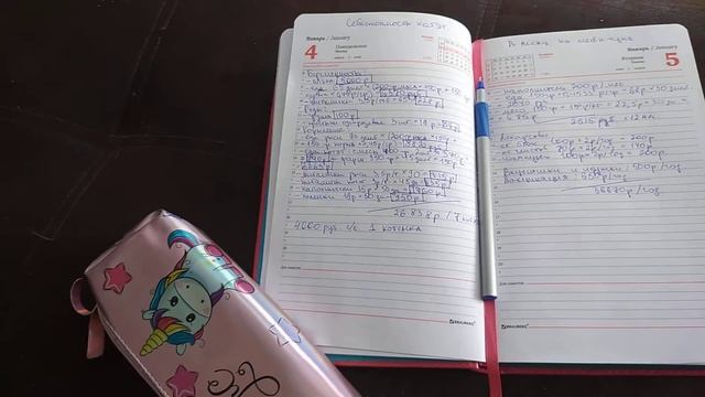 Почему котенок Мейн-кун не может стоить дешево. Сколько трачу на содержание кошки Мейн-кун в год. смотреть онлайн