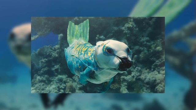 Pandoran Otter Avatar 2 DELETED SCENE смотреть онлайн