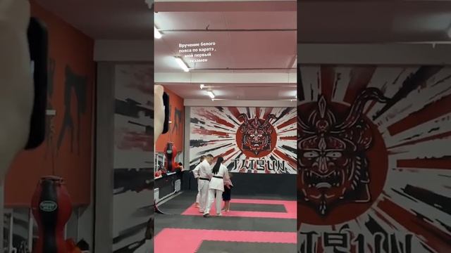 Каратэ вручение белого пояса смотреть онлайн