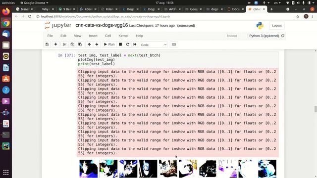 Computer Vision Starting Project in Python: Dogs vs Cats classifier VGG16 97% accuracy Explained! смотреть онлайн