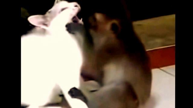 НЕ УХОДИ МОЯ ЛЮБОВЬ... смотреть онлайн