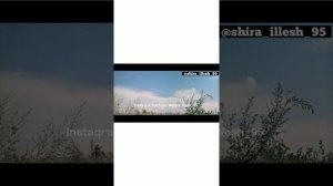 Свадьба малиновкехь на чеченском полное видео