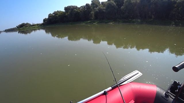 Щука осенью - рыбалка с лодки на спиннинг. Ловили щуку на воблеры , джиг , железо . смотреть онлайн