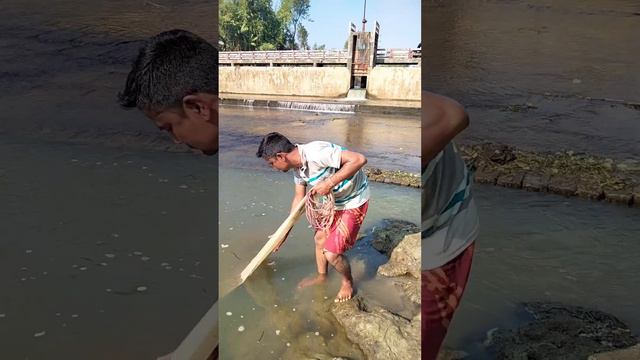 Amazing Village Fishing Video - Traditional Fishing Videoi - Best Net Fishing Video (21) смотреть онлайн