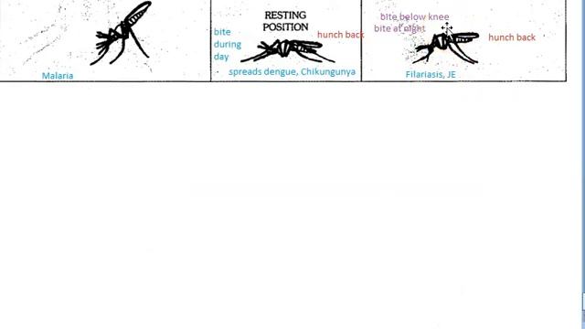 PSM 807 Different Types of Mosquito Difference between Anopheles Aedes Culex смотреть онлайн