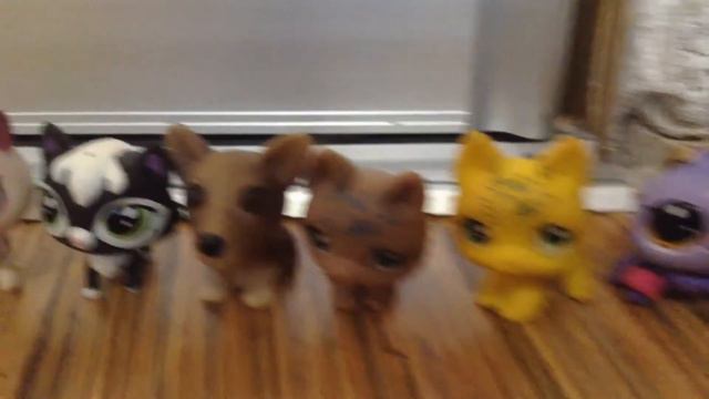 МОЯ КОЛЛЕКЦИЯ LPS смотреть онлайн