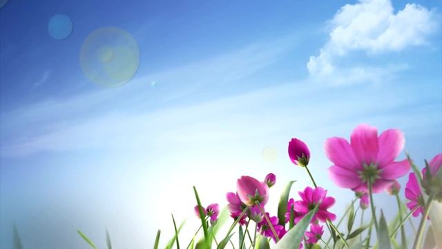 Не оставляйте на потом дела, Не прячьте в стол написанные письма//СТИХИ смотреть онлайн