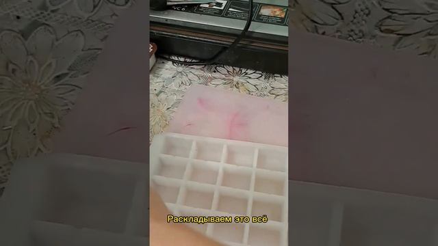 Базилик на зиму проще простого смотреть онлайн