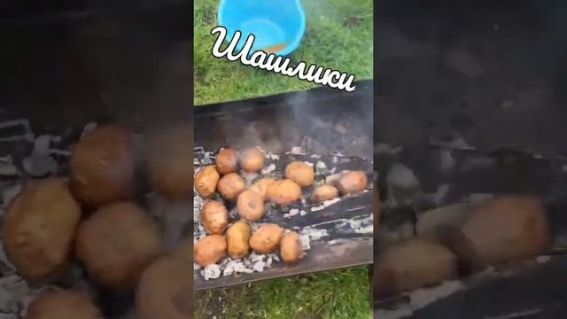 Смачно ?..А ви любить шашлички?. 30.05.23 р. #вкусно #готовимдома #шашлык смотреть онлайн