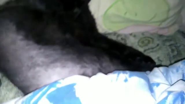 ЧТО С ТОМОМ ПОСЛЕ УКУСА ОСЫ??? смотреть онлайн