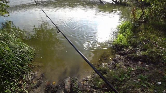 ПОДЛЕСОК / ПОВОДОК на практике. Секреты от эксперта. смотреть онлайн