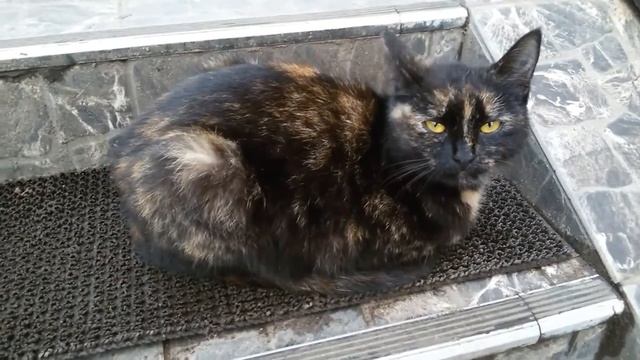 #75. Vlog. ОСЕННИЙ ХОЛОД / ЕМ МОРОЖЕНОЕ.