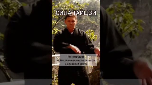 Сила тайцзи