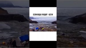 Цунами Если вода уходит, бегите