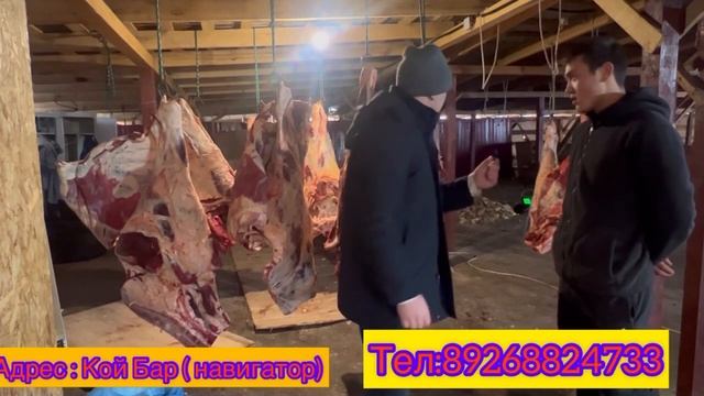 Арзан & Адал ЭТ (доставка бекер) «КОЙ БАР» #89268824733 смотреть онлайн