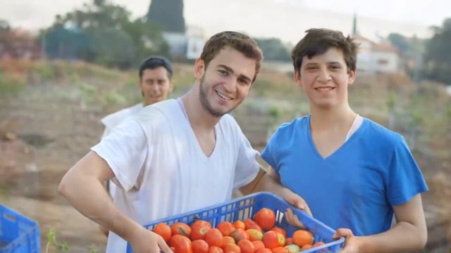 Yeshivat Lev HaTorah - Tomatoes, Beaches, and Trees - 5774 смотреть онлайн