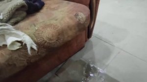 Масло для отбойного молотка TEN