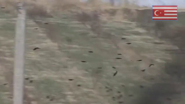 TURKISTON O'G'LONI | Alixonto'ra Sog'uniy | Live 🔴 |