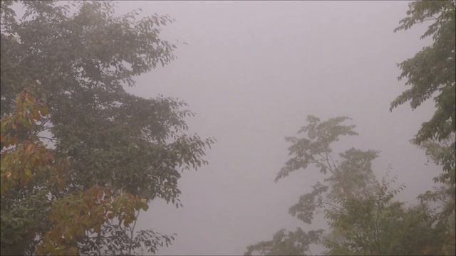 Никко, день третий. Переменчивая погода у водопада Кэгон / Weather changes near Kegon Falls. Nikko. смотреть онлайн