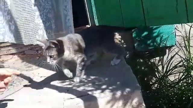 VLOG: ХОТИМСК! ИЗ ГОРОДА В СЕЛО? смотреть онлайн