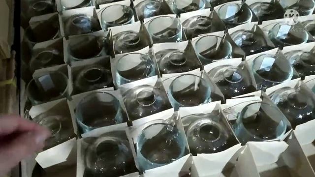 Светофор Классные НОВИНКИ октябрь 2021