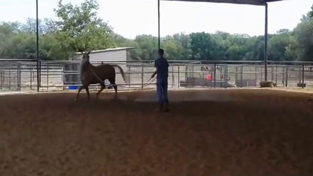 GARRETT KOINER смотреть онлайн