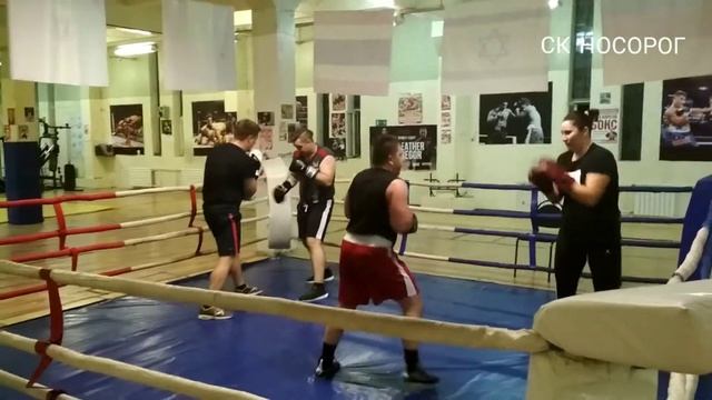 Тренировка в ринге смотреть онлайн