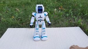 Крутой робот «Напарник»  с пультом управления Xtrem Bots