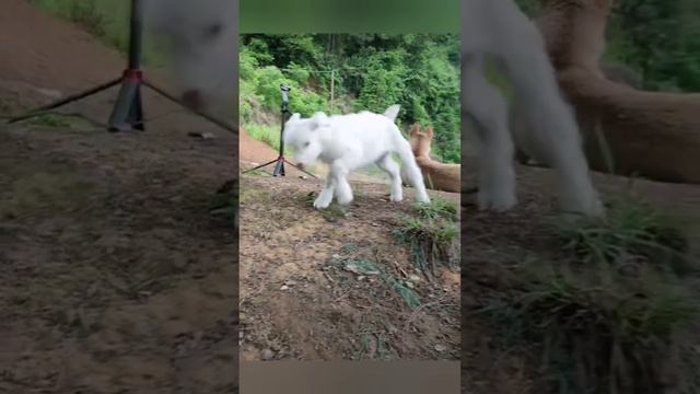 Скоро-скоро выходные 😁 смотреть онлайн