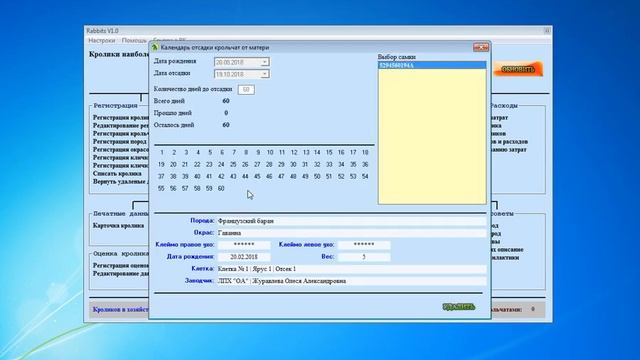 Rabbit - Программа для учета кроликов. Как работать
