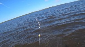 Отчёт с городской тони. Рыбалка сплавной сетью!