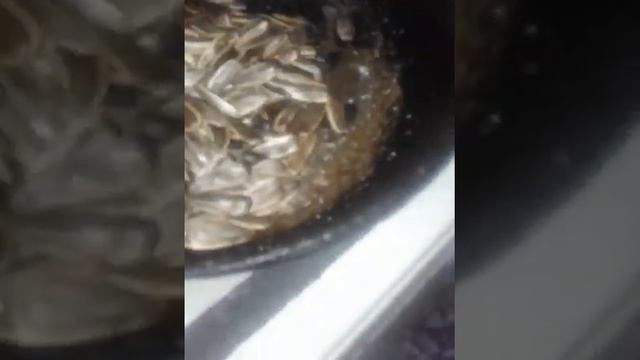 5 июня 2022 г. Semichka Qovurish Sirlari