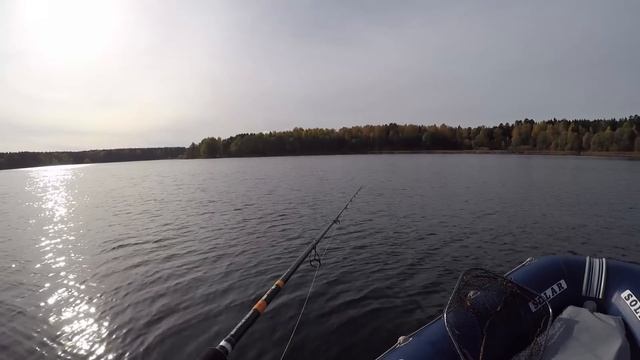 Щуки Жрут Угрей! Размер Приманки для Осенней Щуки. Рыбалка на Озере. Октябрь 2018 смотреть онлайн