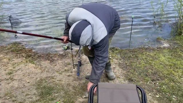 Ловля карпа на опарыш с кукурузой смотреть онлайн