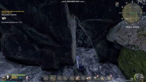 ПЕЩЕРА С ЛИСАМИ С ИХ ХВОСТАМИ! Will to live