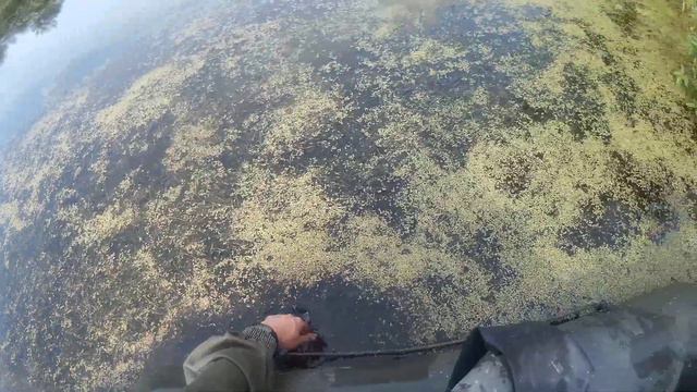 Подготовка к открытию охоты на уток 17.08.2018