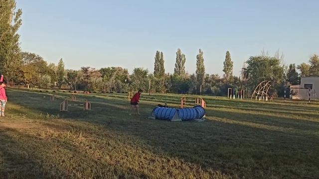 Аджилити в кинологическом лагере в Крыму-2020. Найза. Трасса А0. Первое место. смотреть онлайн