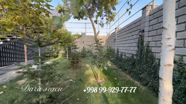 Дача эгасидан!! 25 соток 6 хона.Ташморе#myhouseuz1 #uzb #дом #недвижимость #дача
