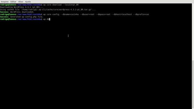 Instalando o WordPress via terminal com WP-CLI смотреть онлайн