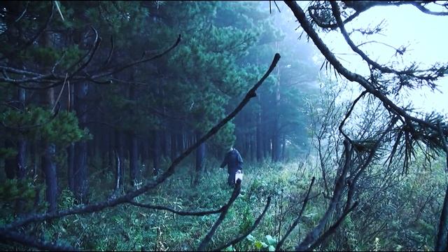 КТО ЗДЕСЬ. Новокузнецкий лес смотреть онлайн