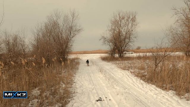 Бессмертный Фазан! Такое первый раз! Охота в Казахстане Фазан Заяц и Бушкрафт! смотреть онлайн
