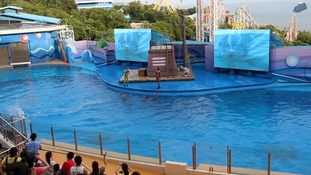 Парк аттракционов в Гонконге Ocean park #2 смотреть онлайн