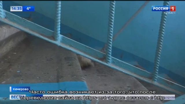 Что за ошибка err empty response? и как ее исправить смотреть онлайн