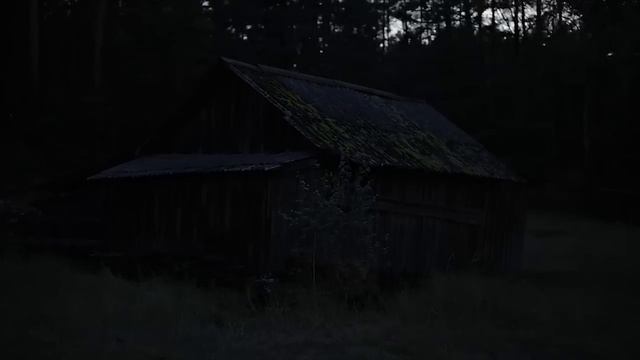 5 лучших историй уходящего года смотреть онлайн