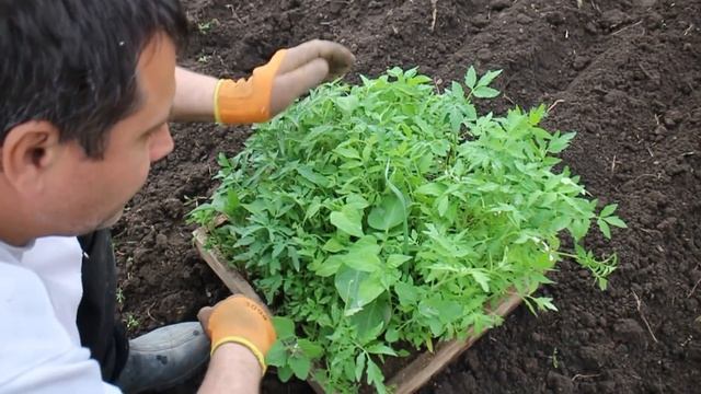 НИКОМУ НЕ РАССКАЗУЙ , ПОБЬЮТ / САМУЮ БОЛЬШУЮ НАМ смотреть онлайн