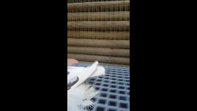 ? ГОЛУБИ КАПКАНЫ / КРАСНО ГРУДЫЕ ДВУХЧУБЫЕ ГОЛУБИ / PIGEONS  TAUBE  #Gulsarinfo